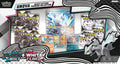 Unova Poster Collection — Black Bolt & White Flare